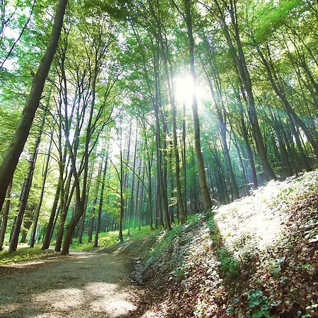 Kardial Hotel Teslić