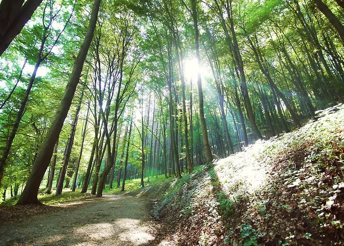 Kardial Hotel Teslic